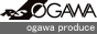 RS-OGAWA